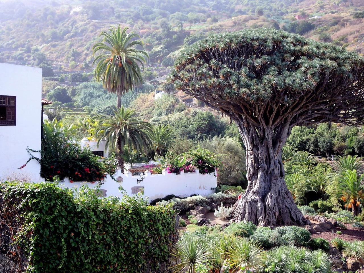 Апартаменты El Rincon With Teide View III Икод-де-лос-Винос Экстерьер фото